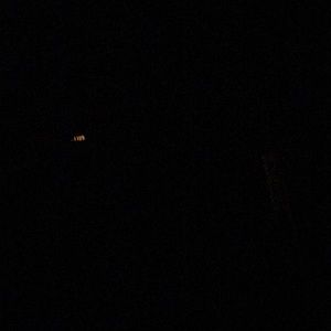 Meet your Posher, Rosalia